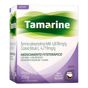 tamarine-geleia-zero-acucar-com-250g